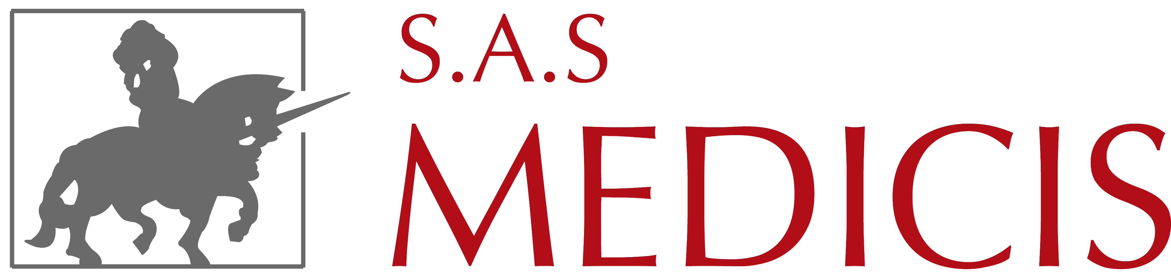 Logo SAS Medicis